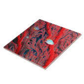 珊瑚の魚の水泳 タイル (側面)