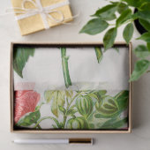 珊瑚のMallowsの花の芸術のティッシュペーパー 薄葉紙 (ギフト)