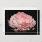 珊瑚は招待状II結婚式誓約の更新の上がりました 招待状 (正面/裏面)