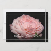 珊瑚は招待状II結婚式誓約の更新の上がりました 招待状 (正面)