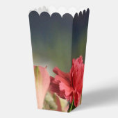 珊瑚桃 フェイバーボックス (裏面)