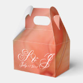 珊瑚桃 フェイバーボックス (裏面サイド)