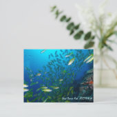 珊瑚海のはがきの熱帯魚 ポストカード (スタンド正面)