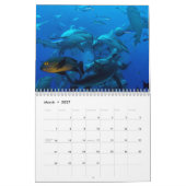 珊瑚海のカレンダーの2015匹の鮫 カレンダー (3月 2027)