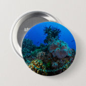 珊瑚海の円形ボタン 缶バッジ (正面&裏面)