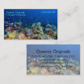 珊瑚海の名刺の熱帯魚 名刺 (正面/裏面)