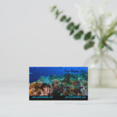 珊瑚海の名刺 名刺 (スタンド正面)