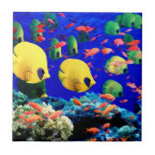 珊瑚海の熱帯魚 タイル (正面)