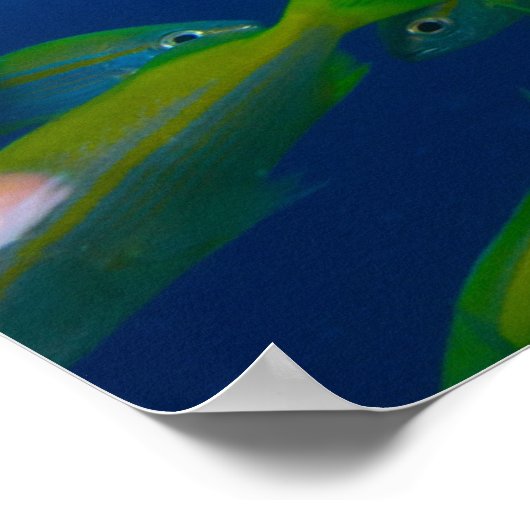 珊瑚海の熱帯魚 ポスター (角)