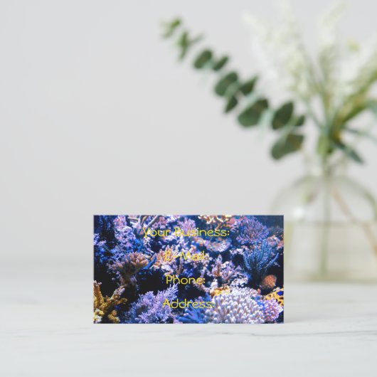 珊瑚海の生命 名刺 (スタンド正面)
