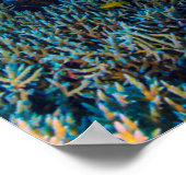 珊瑚海熱帯魚学校のポスター ポスター (角)