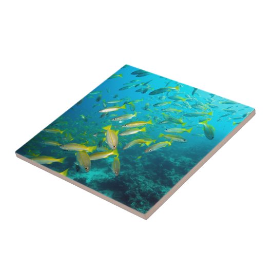 珊瑚礁に浮かぶイワナ タイル (側面)