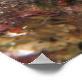 珊瑚礁に潜む砂 ポスター (角)