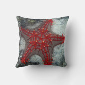 珊瑚礁のヒトデイバラの冠 クッション (裏面)