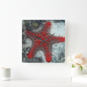 珊瑚礁のヒトデイバラの冠 スクエア壁時計 (ホーム)