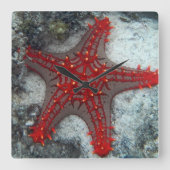 珊瑚礁のヒトデイバラの冠 スクエア壁時計 (正面)
