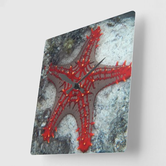 珊瑚礁のヒトデイバラの冠 スクエア壁時計 (傾斜)