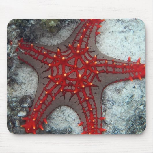 珊瑚礁のヒトデイバラの冠 マウスパッド (正面)