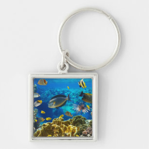 珊瑚礁の熱帯魚の写真 キーホルダー