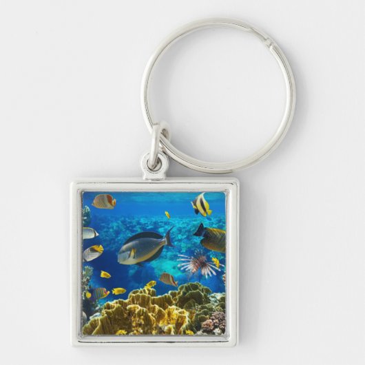 珊瑚礁の熱帯魚の写真 キーホルダー (正面)