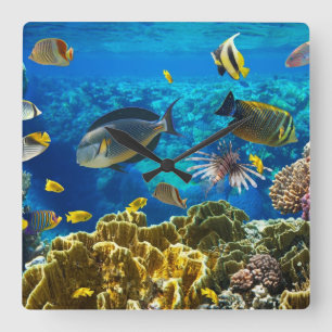 珊瑚礁の熱帯魚の写真 スクエア壁時計