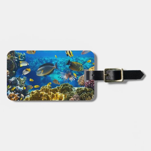 珊瑚礁の熱帯魚の写真 ラゲッジタグ (正面横)