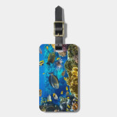 珊瑚礁の熱帯魚の写真 ラゲッジタグ (正面縦)