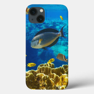 珊瑚礁の熱帯魚の写真 iPhone 13ケース