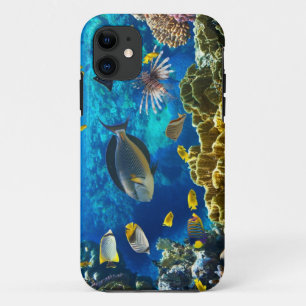 珊瑚礁の熱帯魚の写真 iPhone 11 ケース