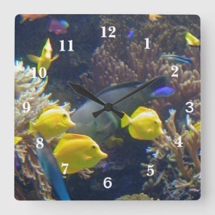 珊瑚礁の魚 スクエア壁時計