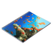 珊瑚礁のLyretailのanthias ノートブック (左側)