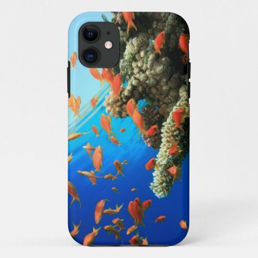 珊瑚礁のLyretailのanthias Case-Mate iPhoneケース (裏面)