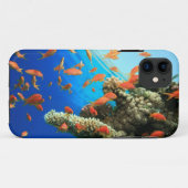 珊瑚礁のLyretailのanthias Case-Mate iPhoneケース (裏面(横))