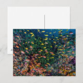 珊瑚礁を泳ぐ魚の群れ ポストカード (正面/裏面)