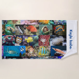 珊瑚礁海洋生物魚の動物写真名 ビーチタオル