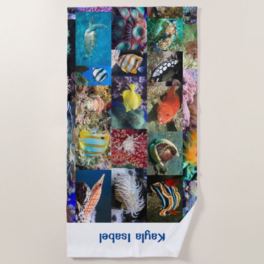 珊瑚礁海洋生物魚の動物写真名 ビーチタオル (正面)