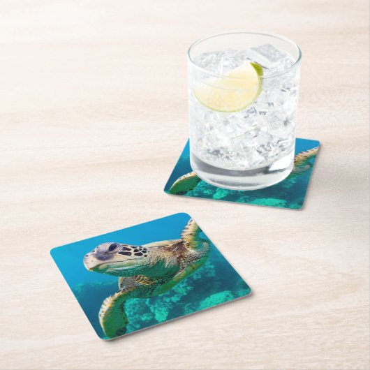 珊瑚礁|Hawaiiに泳いでいる緑のウミガメ スクエアペーパーコースター (インサイチュ)