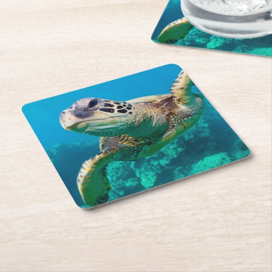 珊瑚礁|Hawaiiに泳いでいる緑のウミガメ スクエアペーパーコースター (アングル)