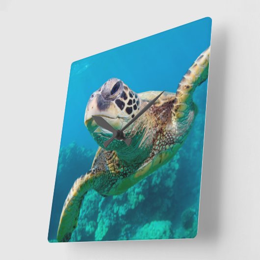 珊瑚礁|Hawaiiに泳いでいる緑のウミガメ スクエア壁時計 (傾斜)