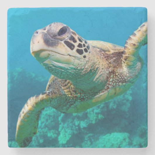 珊瑚礁|Hawaiiに泳いでいる緑のウミガメ ストーンコースター (正面)