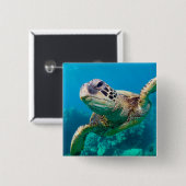 珊瑚礁|Hawaiiに泳いでいる緑のウミガメ 缶バッジ (正面&裏面)