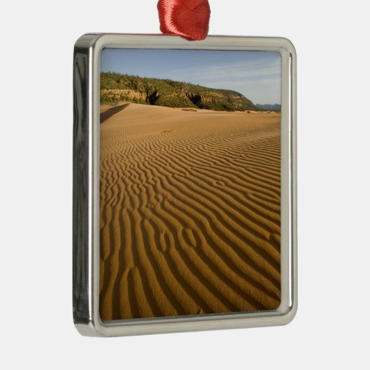 珊瑚色と砂丘2 メタルオーナメント (右)