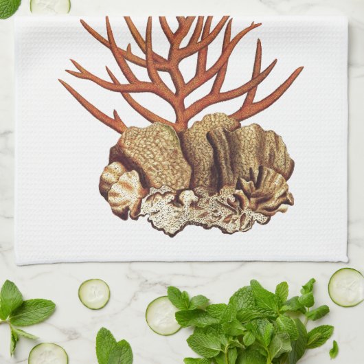 珊瑚 キッチンタオル (折り畳み)