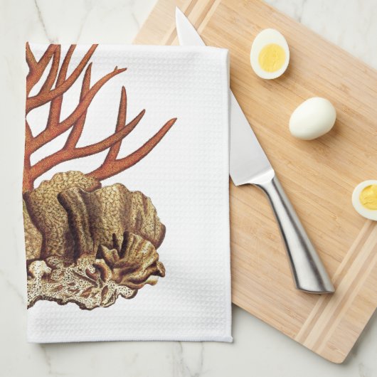 珊瑚 キッチンタオル (四つ折り)