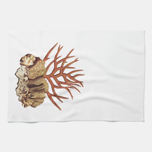 珊瑚 キッチンタオル (横)