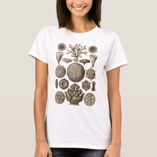 珊瑚 Tシャツ (正面)