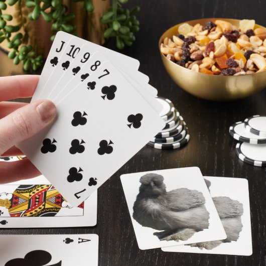 珍しいかわいいチキン品種ブルーシルキーニェン鶏 トランプ (インサイチュ)