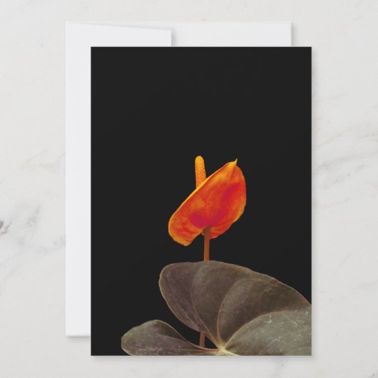 珍しいエレガントCustomWedding招待状 招待状 (裏面)