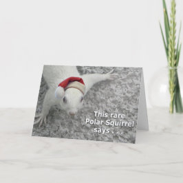 珍しいクリスマスリス シーズンカード