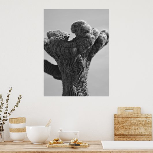 珍しいサグアーロサボテン ポスター (キッチン)